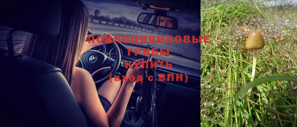 прущие крисы Балахна