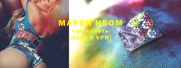 молекула духа Арсеньев