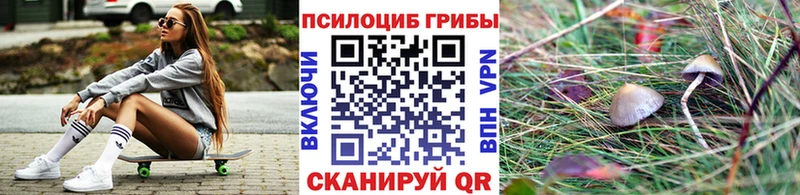 купить  сайты  Гаврилов Посад  shop формула  Галлюциногенные грибы Cubensis 